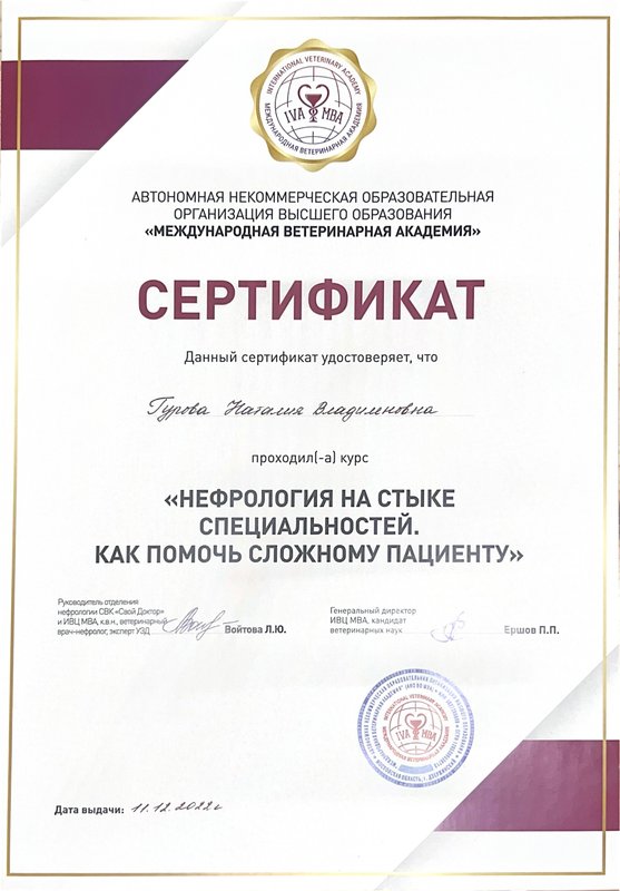 Документ или сертификат