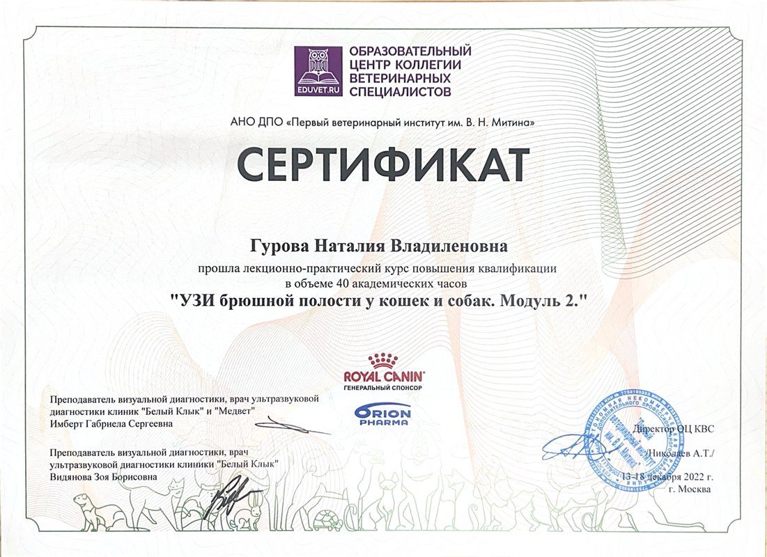 Документ или сертификат