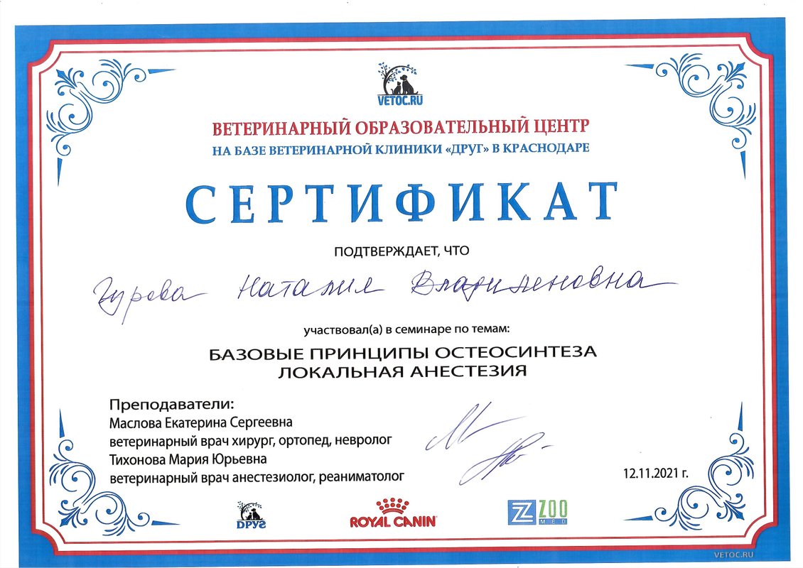 Документ или сертификат