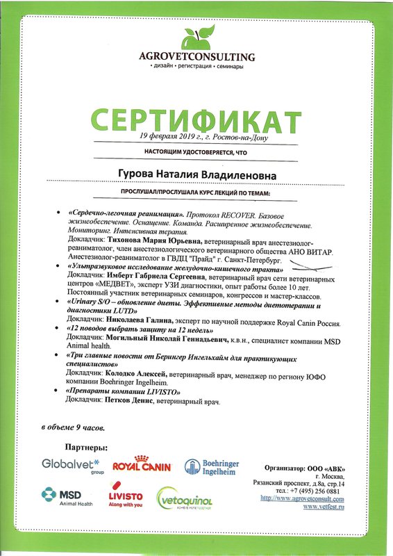 Документ или сертификат