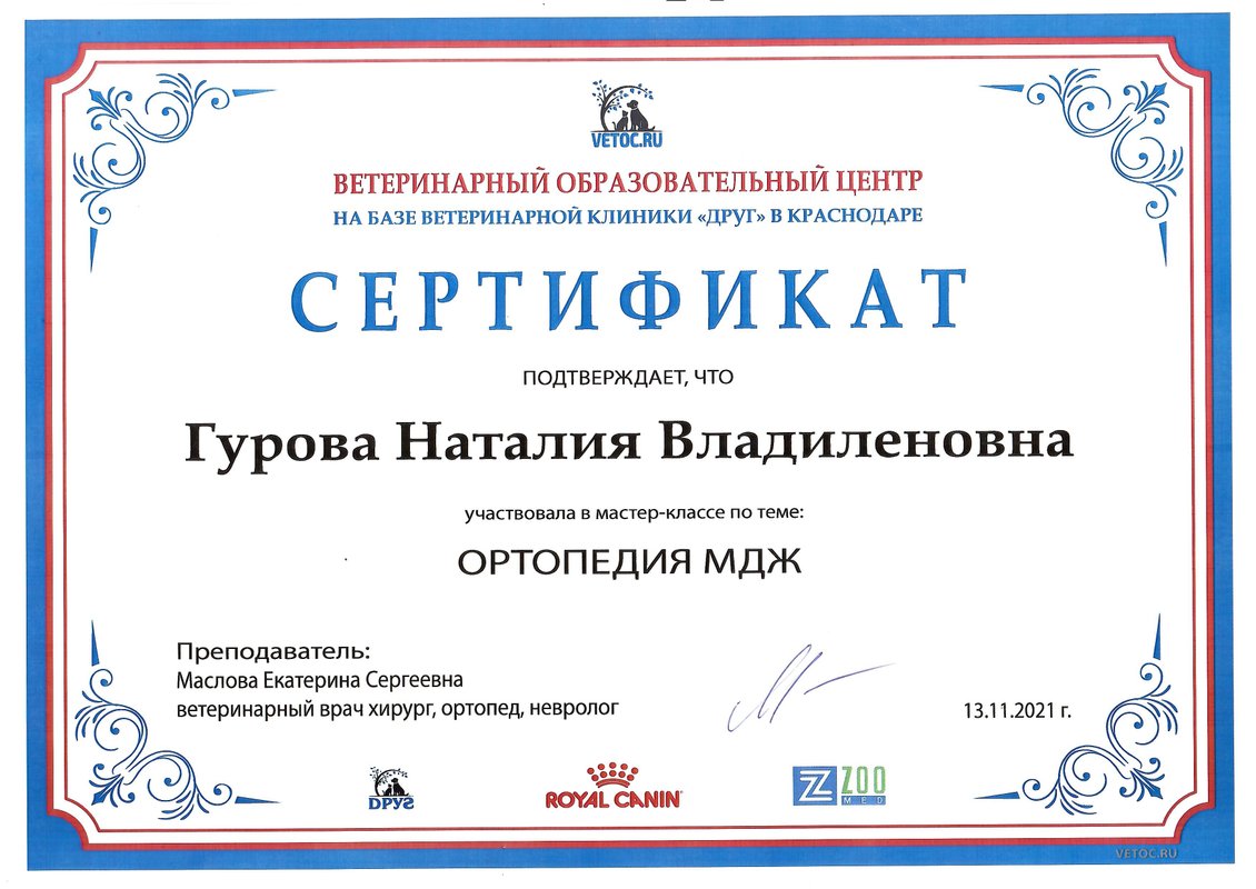 Документ или сертификат