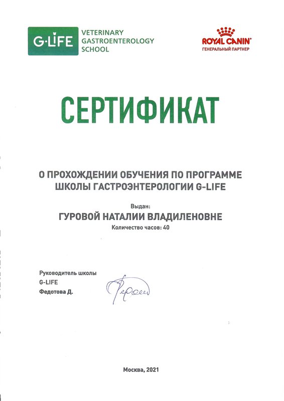 Документ или сертификат