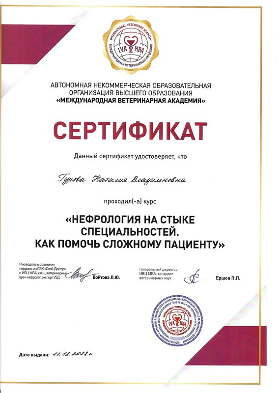 Документ или сертификат