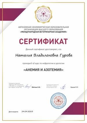 Документ или сертификат