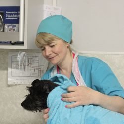 Фото врача Пахомова Янина Сергеевна