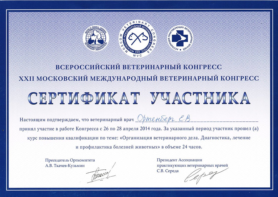 Документ или сертификат