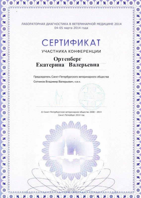 Документ или сертификат
