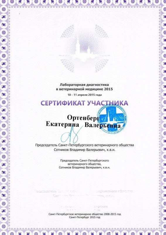 Документ или сертификат