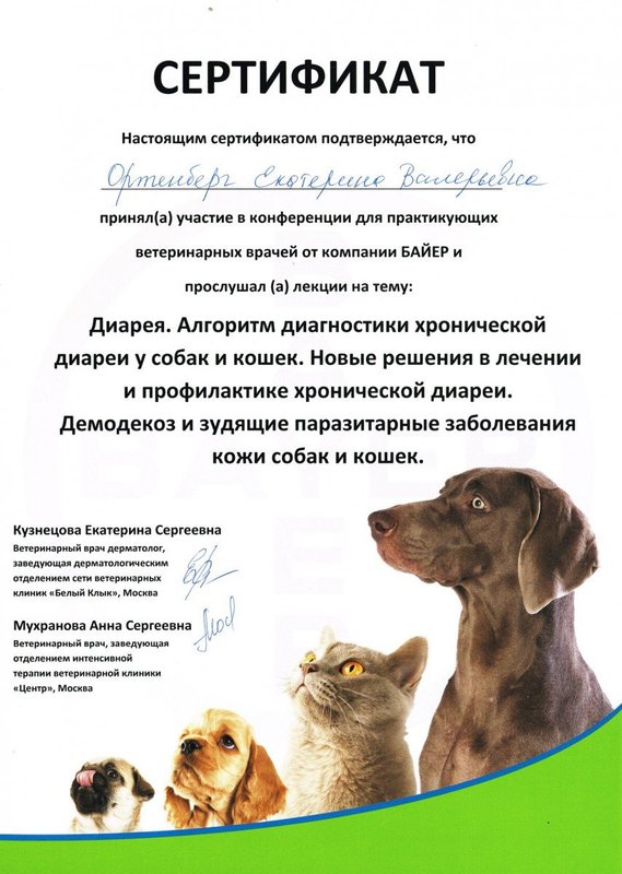Документ или сертификат