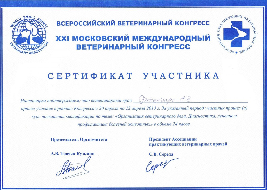 Документ или сертификат