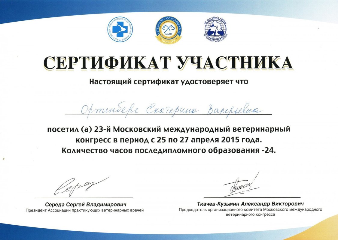 Документ или сертификат