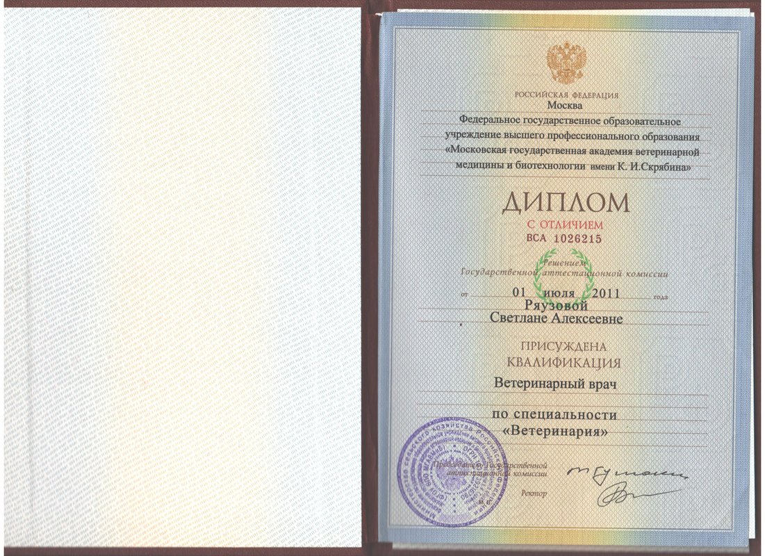 Документ или сертификат