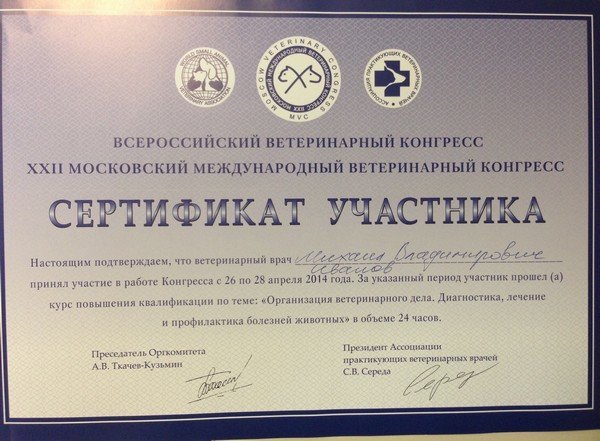 Документ или сертификат