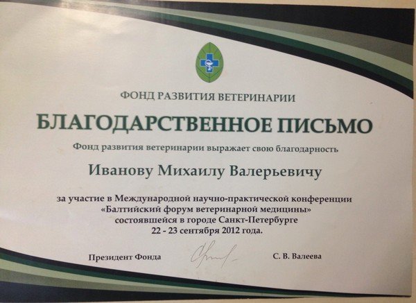 Документ или сертификат