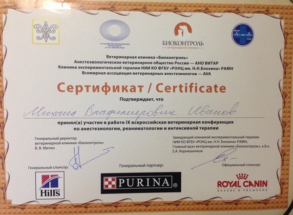Документ или сертификат