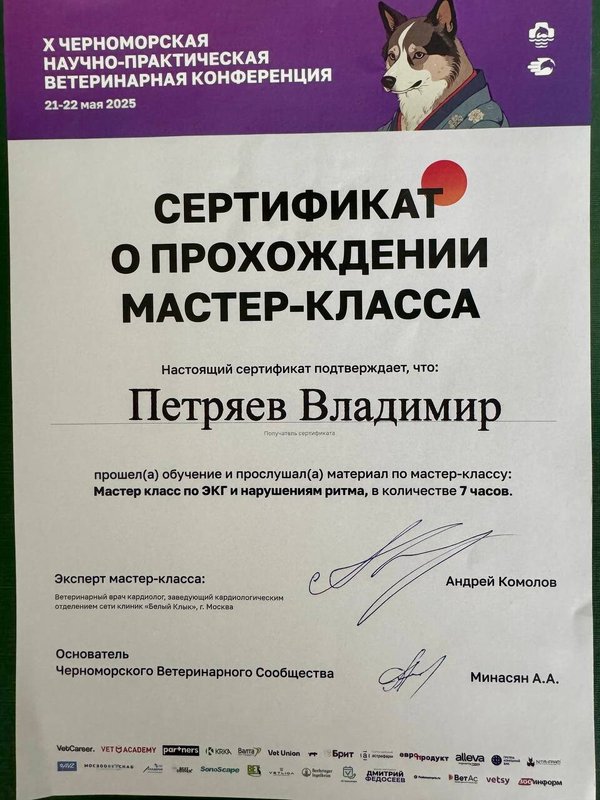 Документ или сертификат