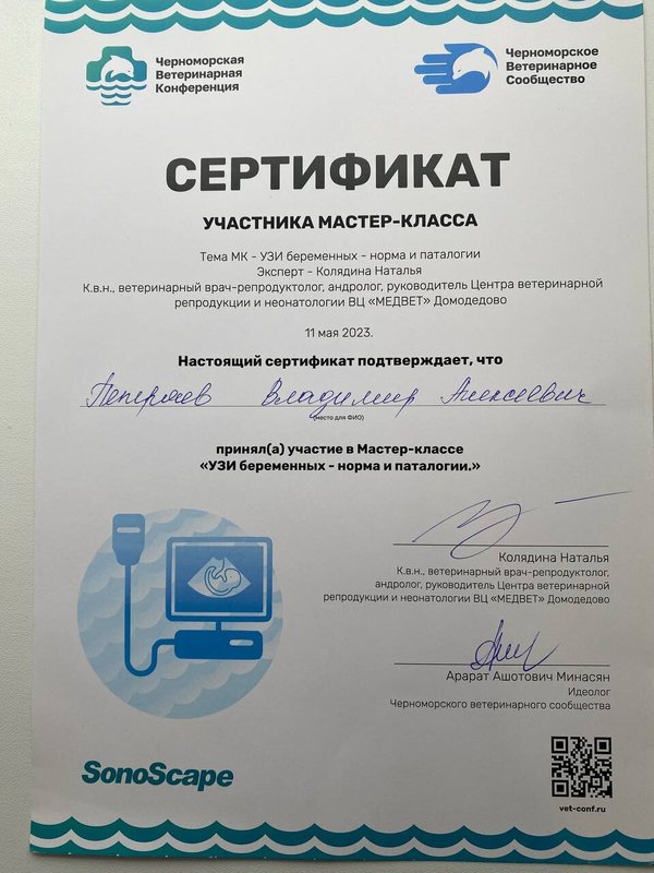 Документ или сертификат