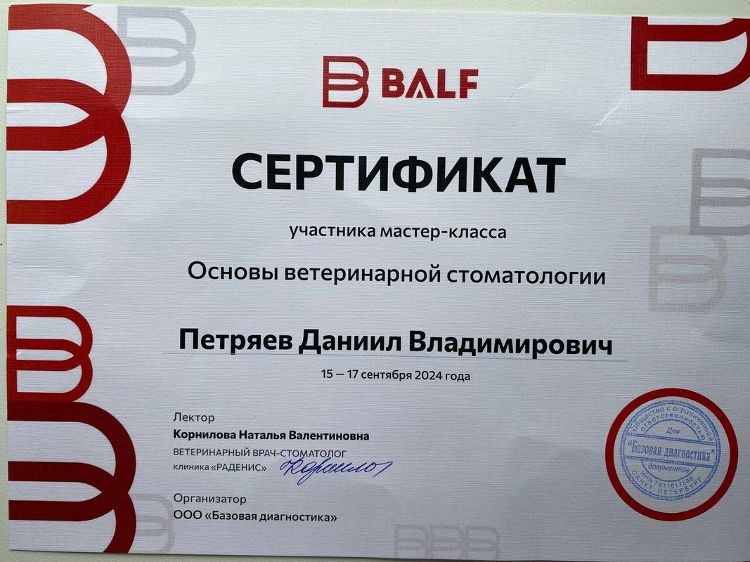 Документ или сертификат