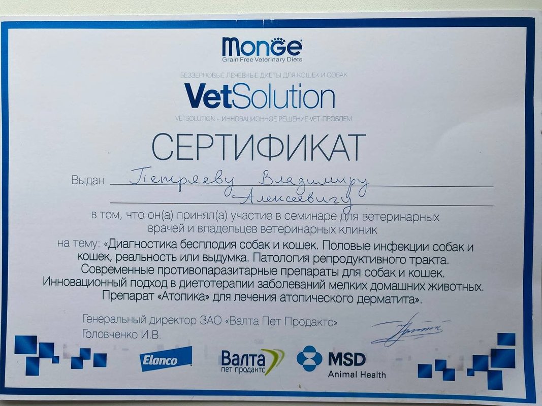 Документ или сертификат