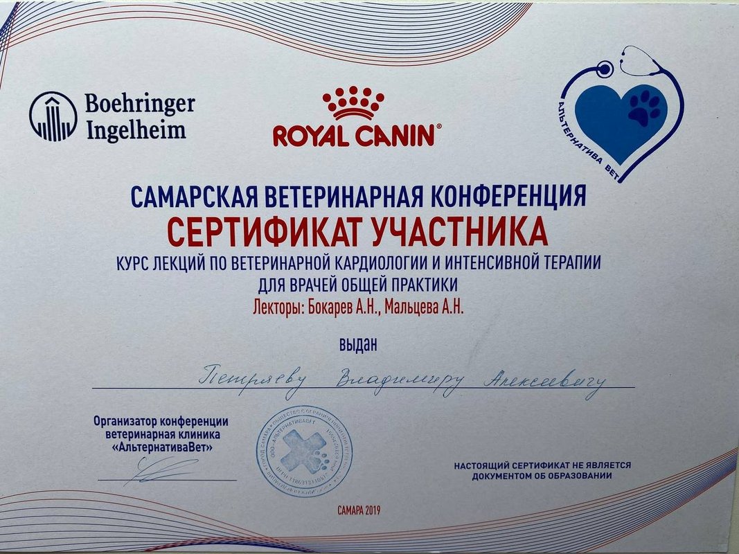 Документ или сертификат