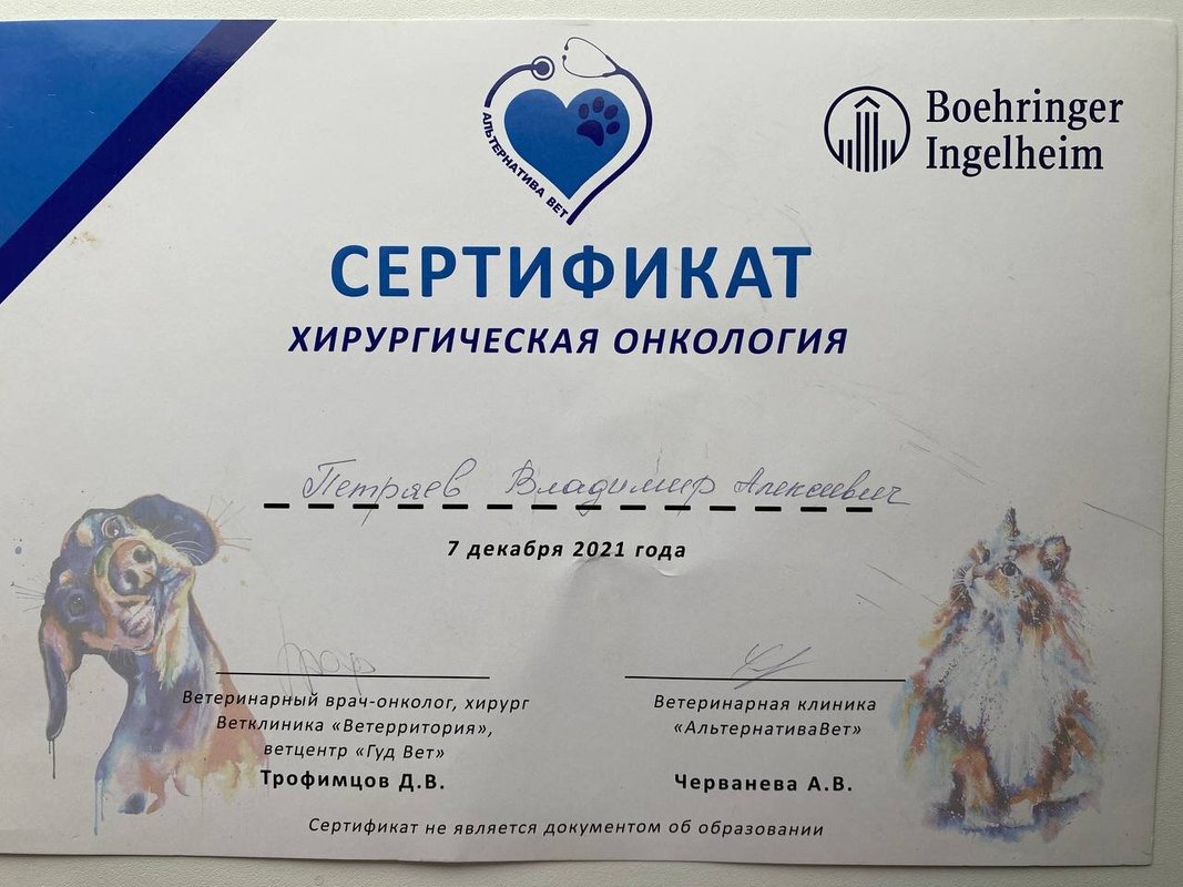 Документ или сертификат