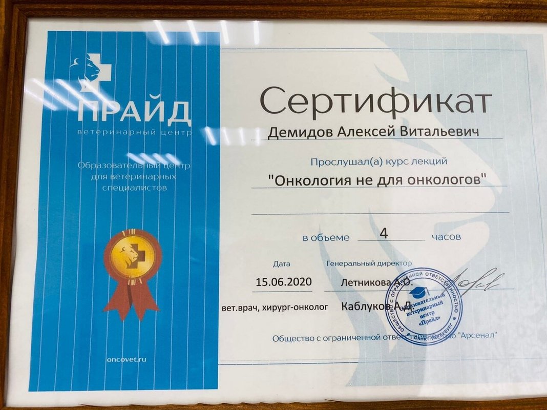 Документ или сертификат