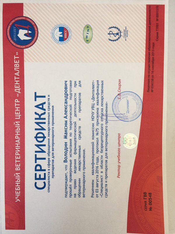 Документ или сертификат