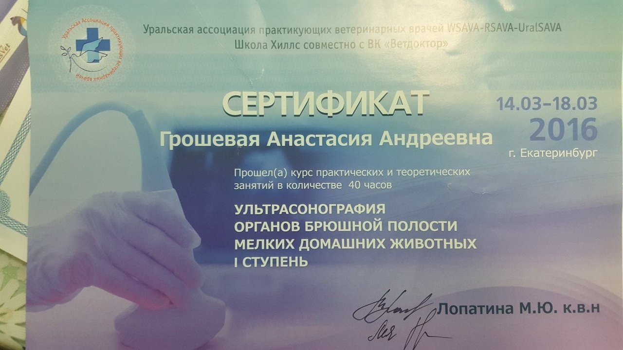 Документ или сертификат