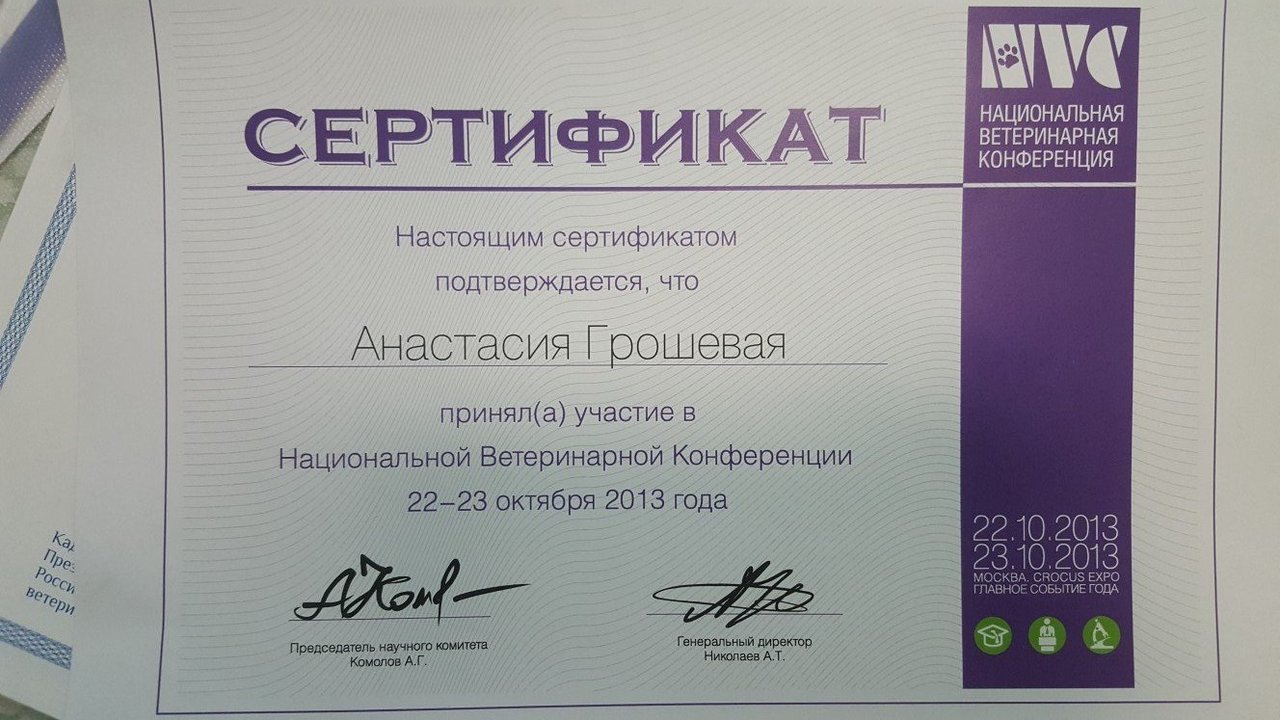 Документ или сертификат