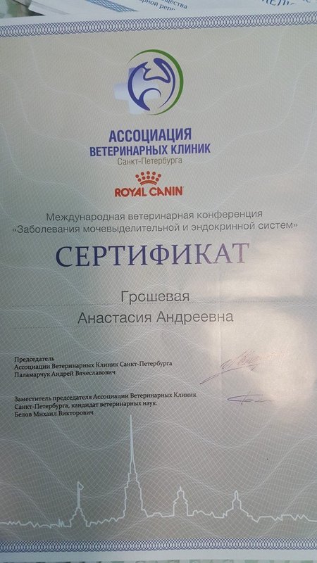 Документ или сертификат