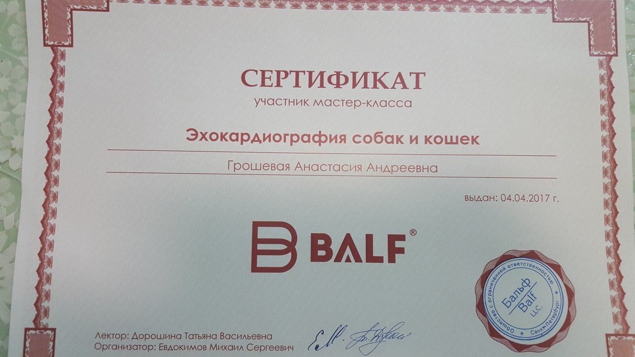 Документ или сертификат
