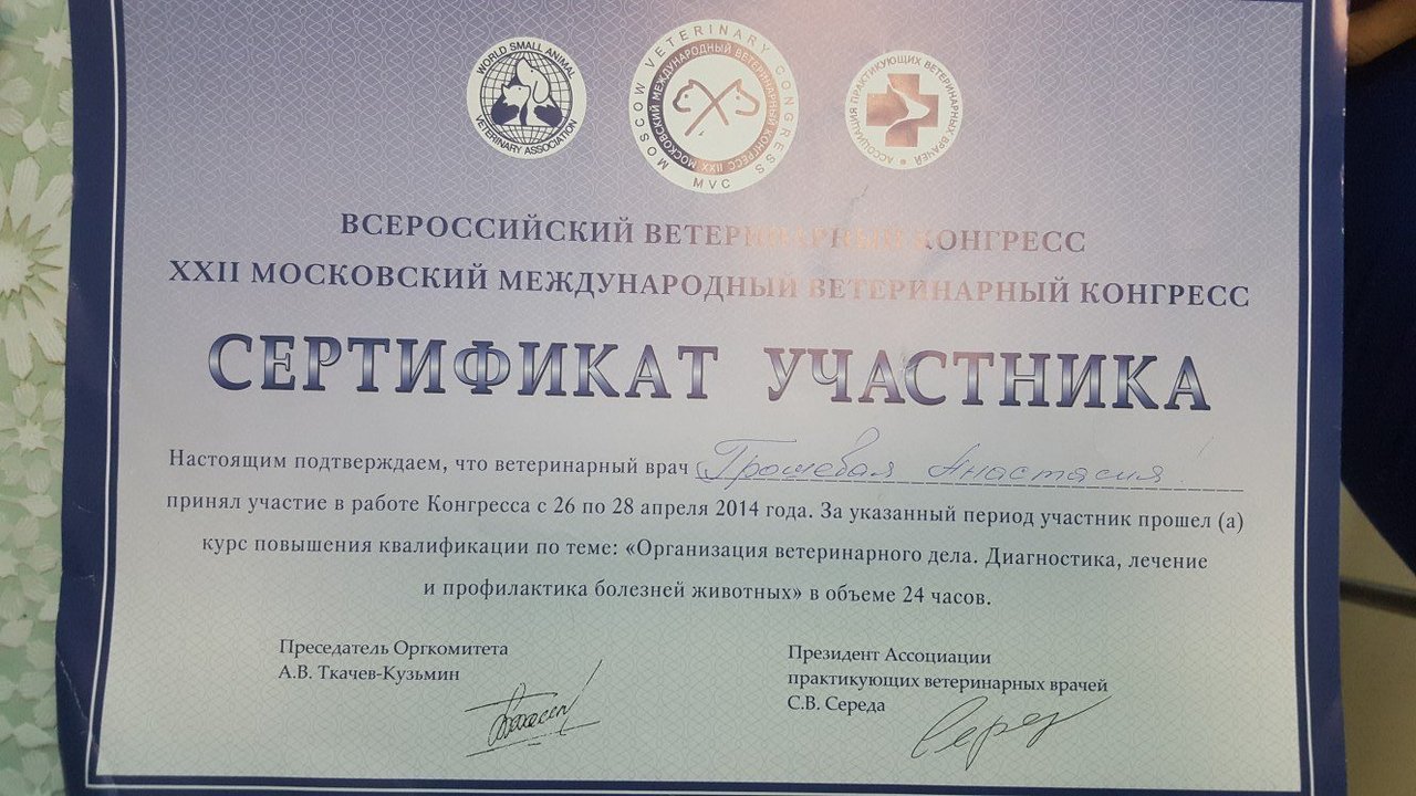 Документ или сертификат