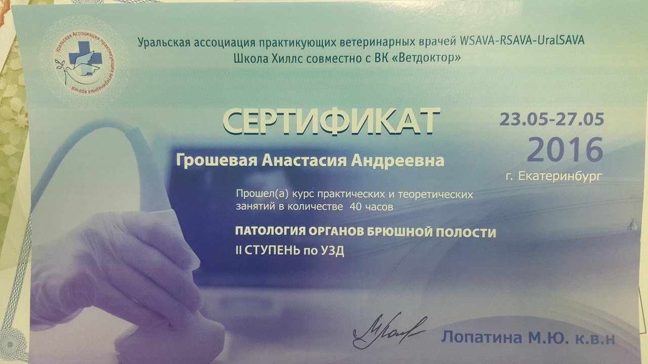 Документ или сертификат