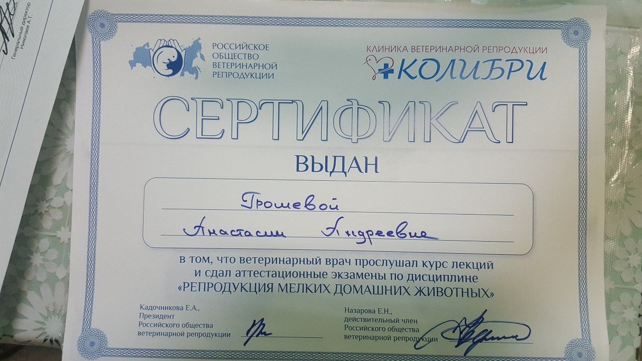 Документ или сертификат