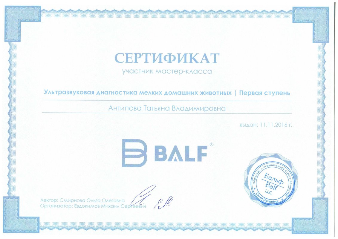 Документ или сертификат