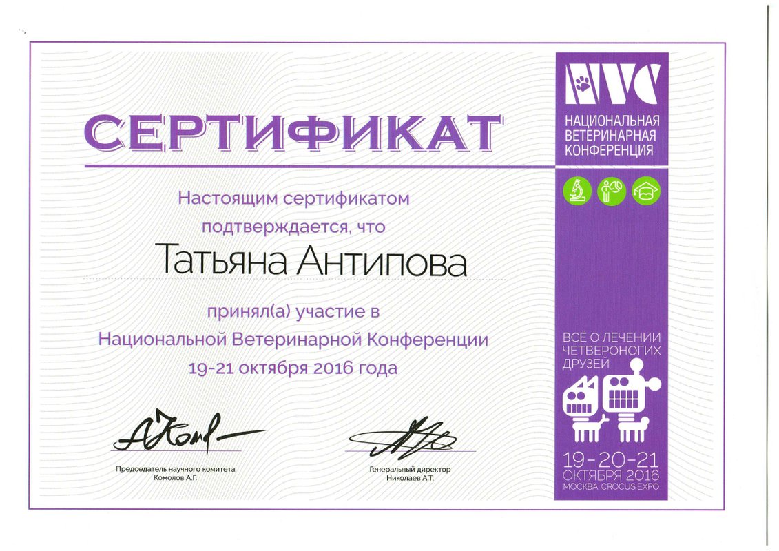 Документ или сертификат