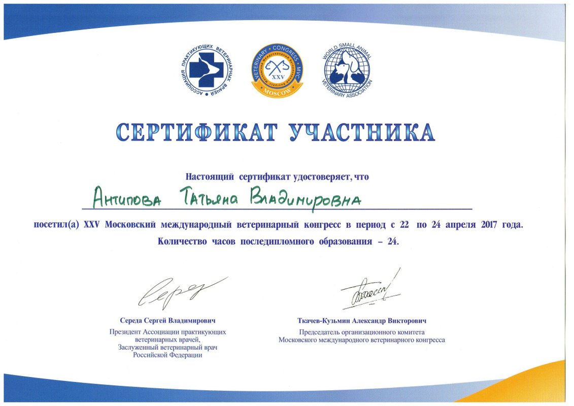 Документ или сертификат