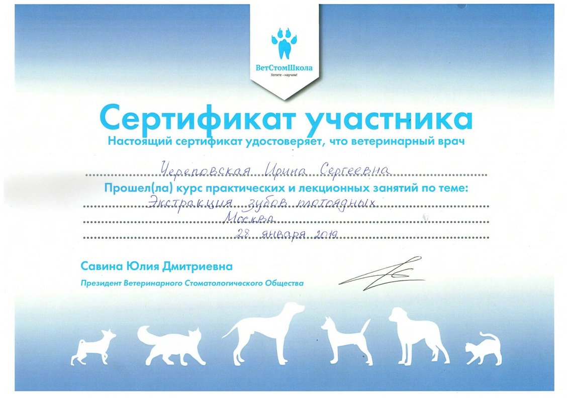 Документ или сертификат