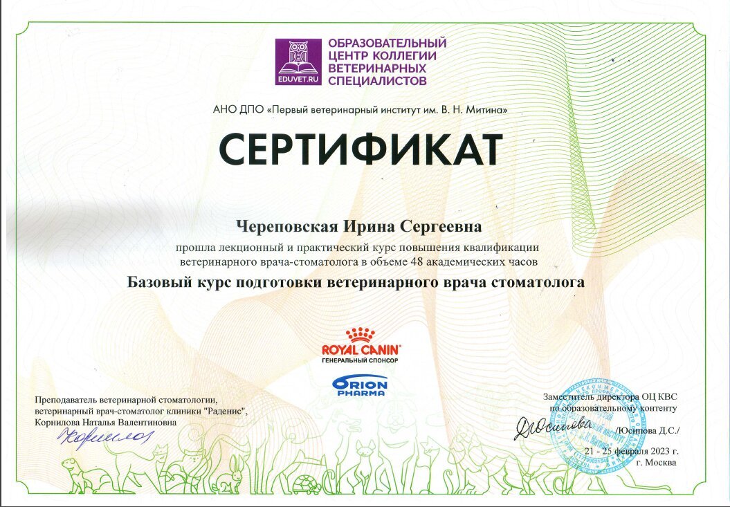 Документ или сертификат