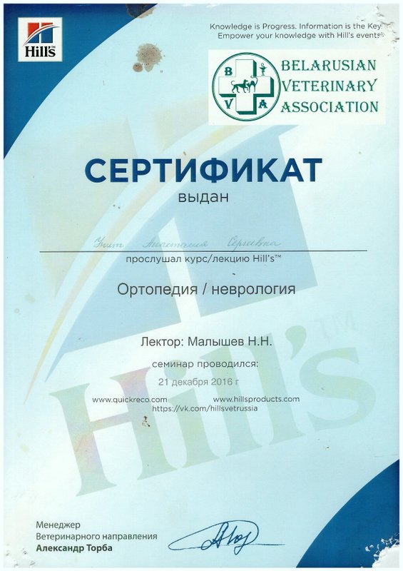 Документ или сертификат