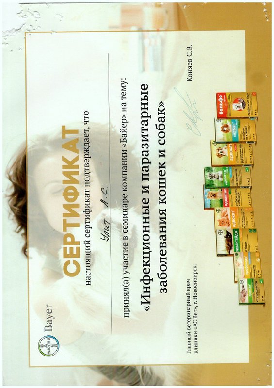 Документ или сертификат