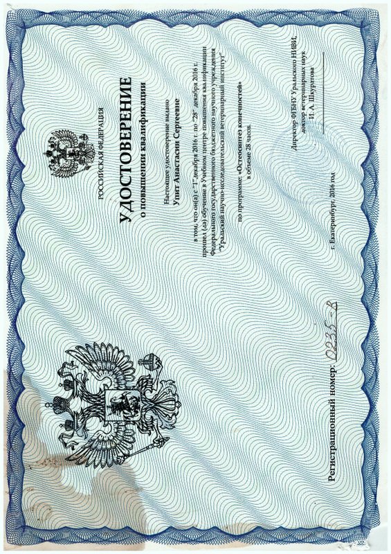 Документ или сертификат
