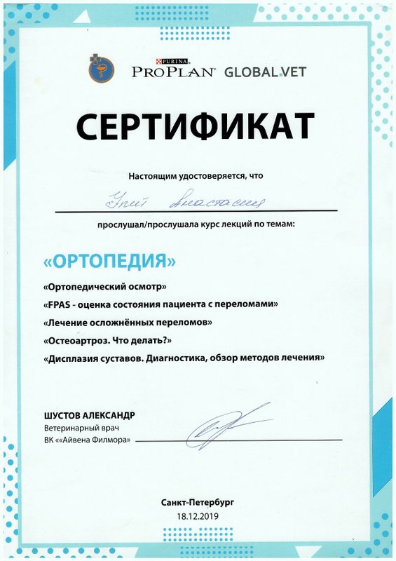 Документ или сертификат