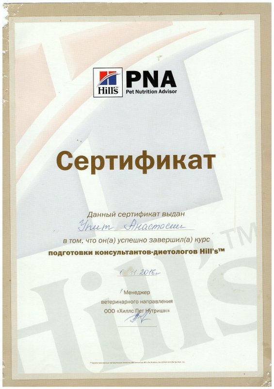 Документ или сертификат
