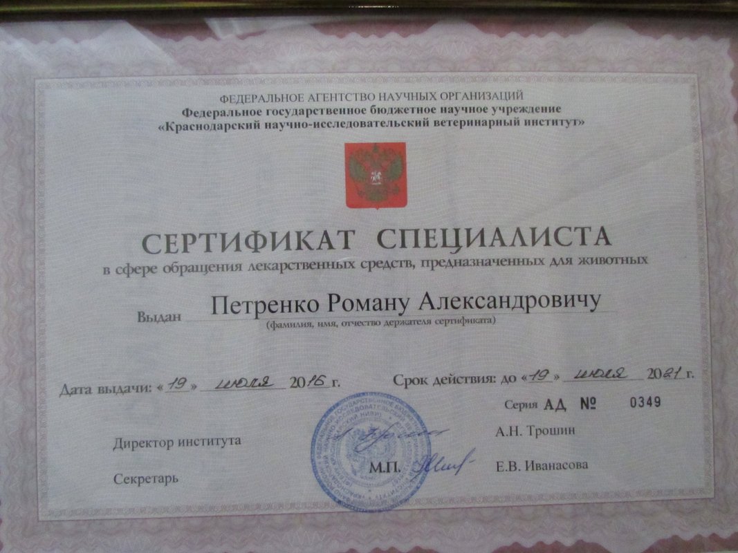 Документ или сертификат