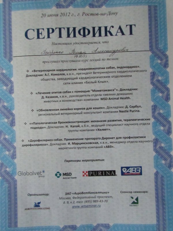 Документ или сертификат