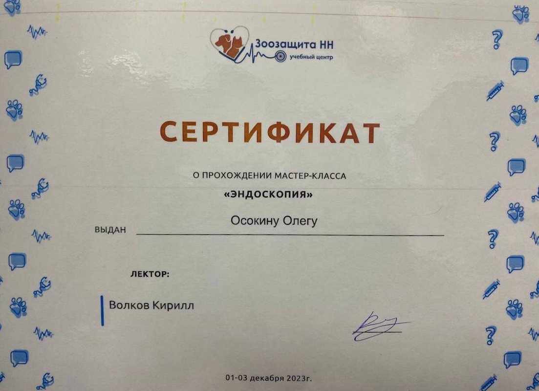 Документ или сертификат