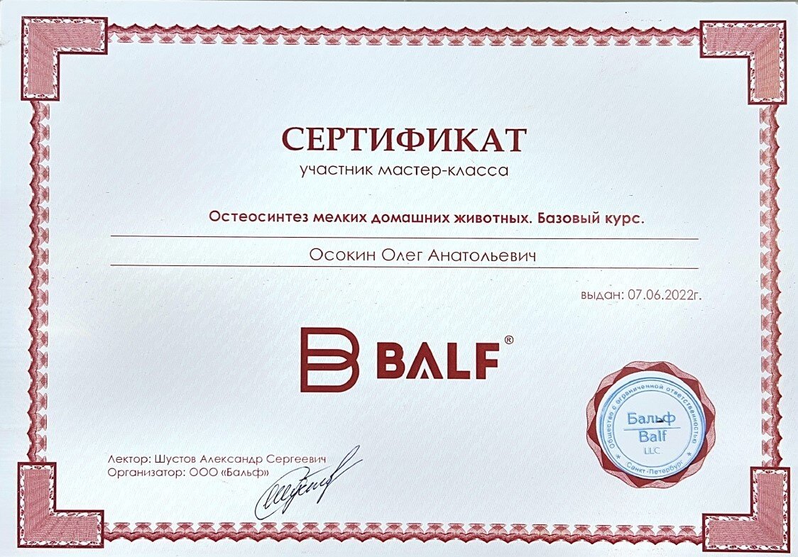 Документ или сертификат