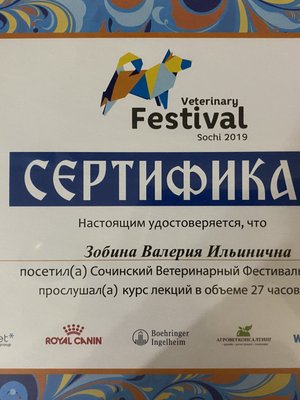 Фото врача Зобина Валерия Ильинична