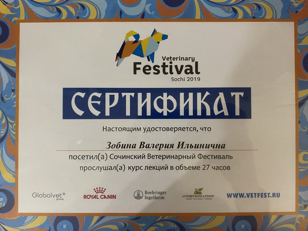 Документ или сертификат